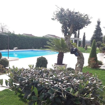 Agriturismo Sant' Isidoro Villa Anagni Exterior foto